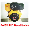 8HP/6.3kw Air Cooled Diesel Engine with CE ISO BV SGS